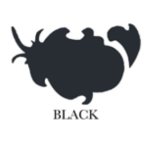 Cotton Duvet Cover Black Set Queen