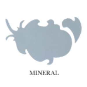 Cotton Duvet Cover Mineral Set King