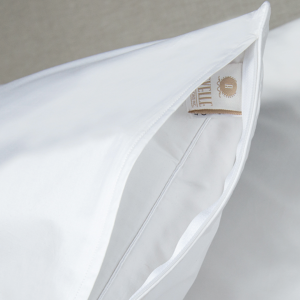 Pillow Protector Cotton